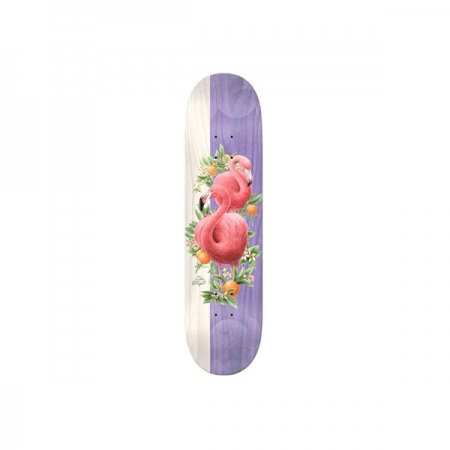 Real Natural Domain 2 Zion Deck 8.25 at BAYSIXTY6 Skate Shop