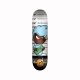 DGK Saturday Morning Williams Deck 7.9 at BAYSIXTY6 Skate Shop