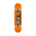Anti Hero Classic Eagle Complete Orange 7.75"